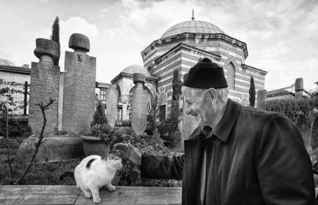 KÜPELER VAR! TAKMAK İSTEYENE