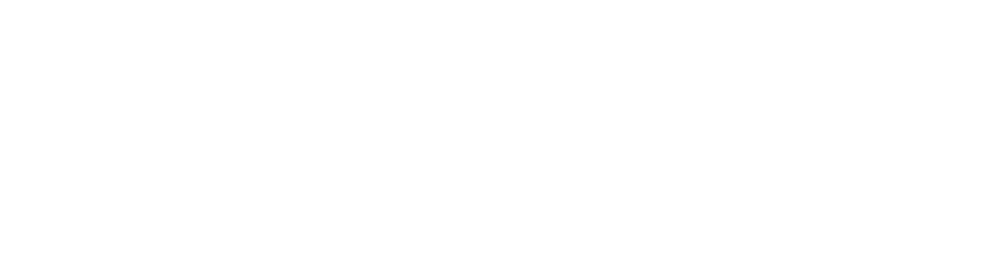 Logo-footer